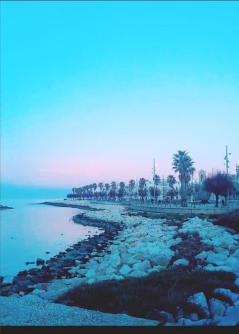 Apulia Mon Amour モーラ・ディ・バーリ エクステリア 写真